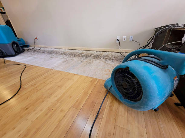 Professional Flood Damage Cleanup technician working in Deerfield, MI